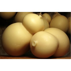 Caciocavallo stagionato 12 mesi su corda Caciocavallo stagionato 12 mesi su corda