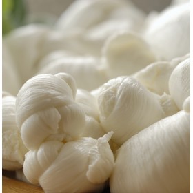 Mozzarella Pugliese Querceta Mozzarella Pugliese Querceta