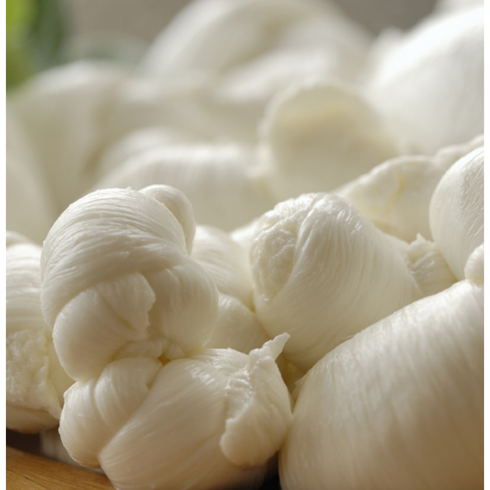 Mozzarella Pugliese Querceta Mozzarella Pugliese Querceta