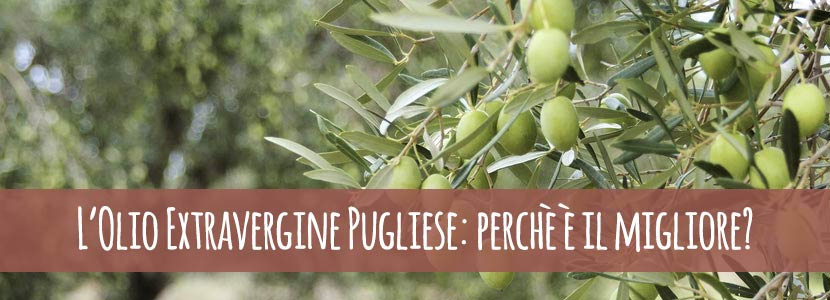 L’Olio Extravergine Pugliese: perchè è il migliore?
