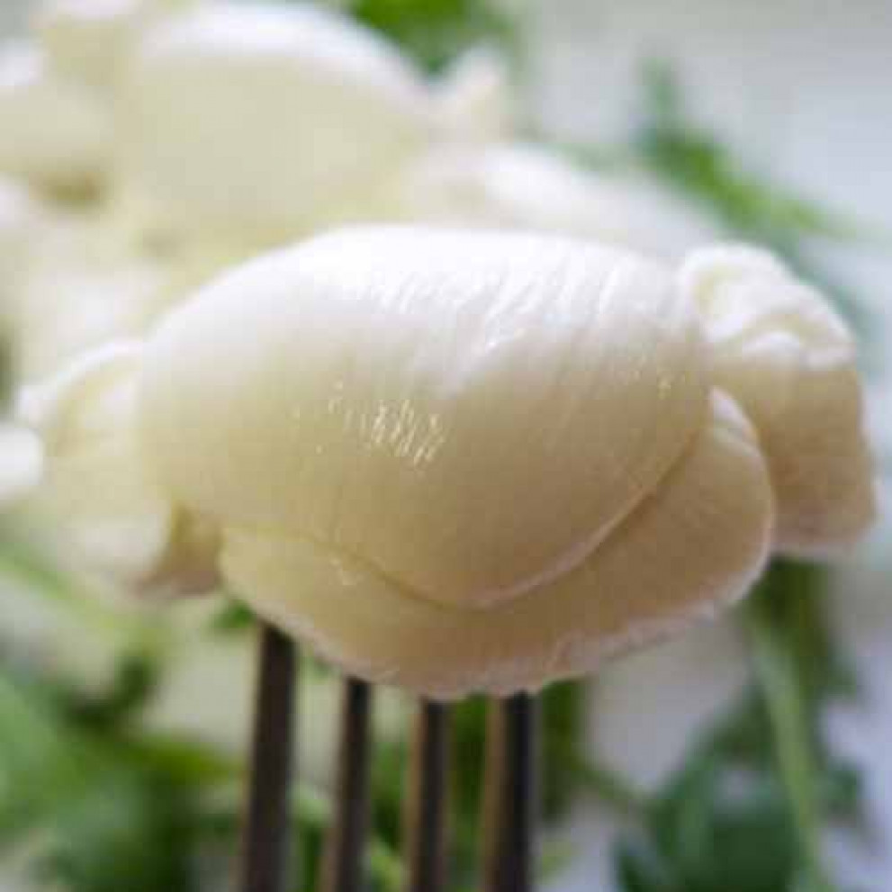 Mozzarella Pugliese Nodino Mozzarella Pugliese Nodino