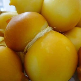 Scamorza affumicata Querceta Scamorza affumicata Querceta